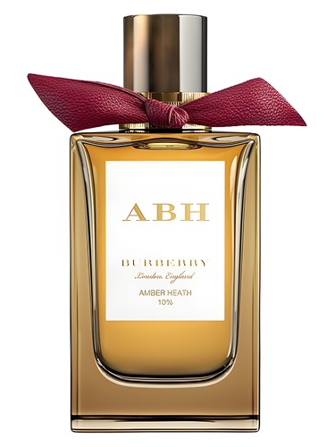 Burberrys for Men (1981) Perfume by Burberry for Men UAE