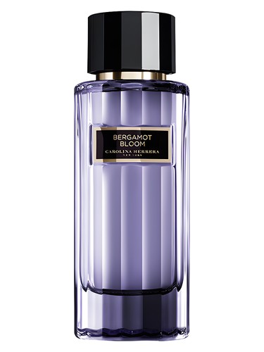 Carolina Herrera 212 For Women Perfume by Carolina Herrera UAE
