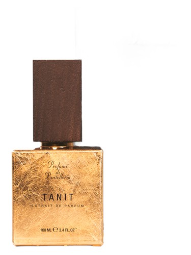 Maestrale Perfume by Profumi di Pantelleria for Unisex UAE