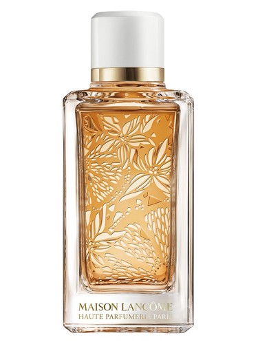 Land Breeze for women Perfume by Max Philip for female UAE