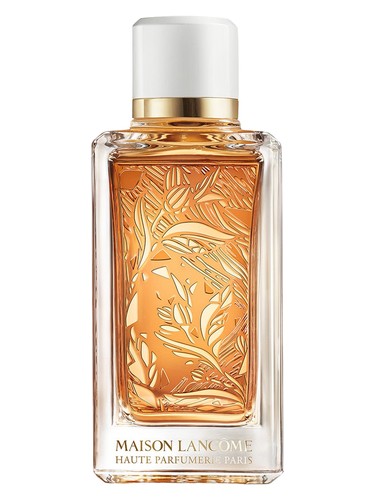 Lattafa Qaaed Perfume by Lattafa for unisex UAE