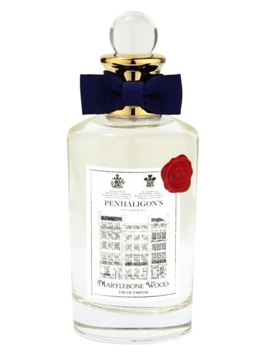 Oud Nomade unisex Perfume by Antonio Visconti for unisex UAE