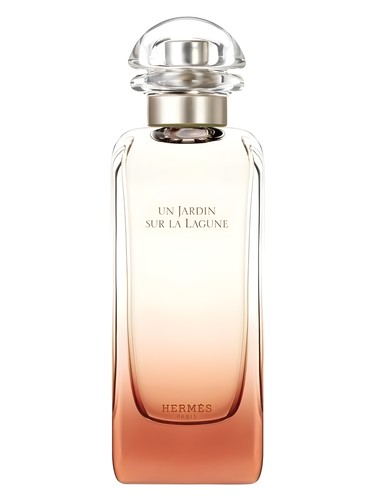 VV Aqua Women for women Perfume by Roberto Verino for female UAE