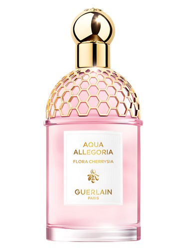 Terracotta Perfume by Guerlain for Women UAE
