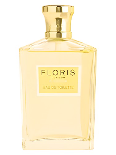 Florissa perfume