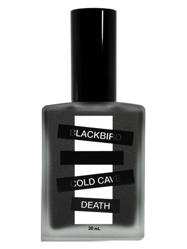 Triton Perfume by Blackbird for Unisex UAE