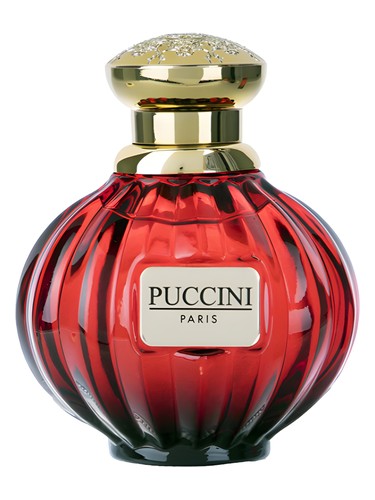 Puccini Lovely Night Blue Perfume by Puccini Paris for Women UAE