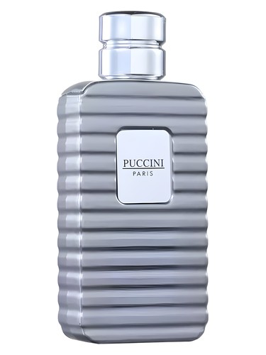 Puccini Lovely Night Blue Perfume by Puccini Paris for Women UAE
