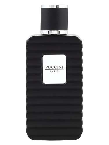 Puccini Lovely Night Blue Perfume by Puccini Paris for Women UAE