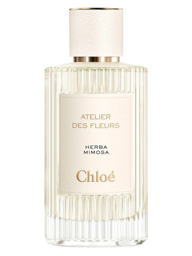 Perris Monte Carlo Mimosa Tanneron Perfume by Perris Monte Carlo for unisex UAE