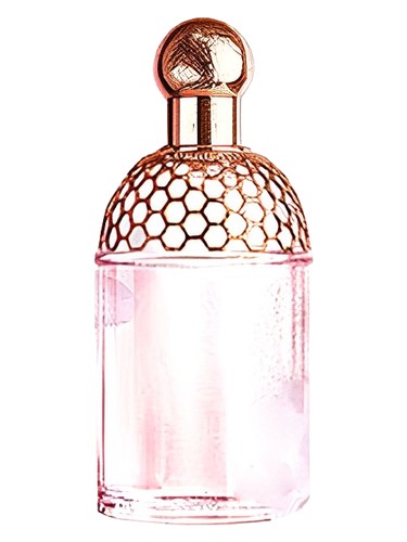 Terracotta Perfume by Guerlain for Women UAE