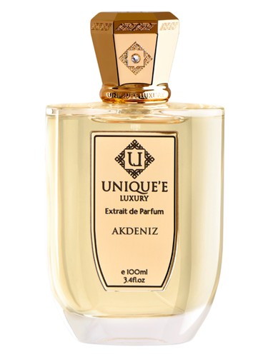 State Of Mind Open Mind Perfume by State Of Mind for unisex UAE