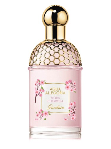 Terracotta Perfume by Guerlain for Women UAE