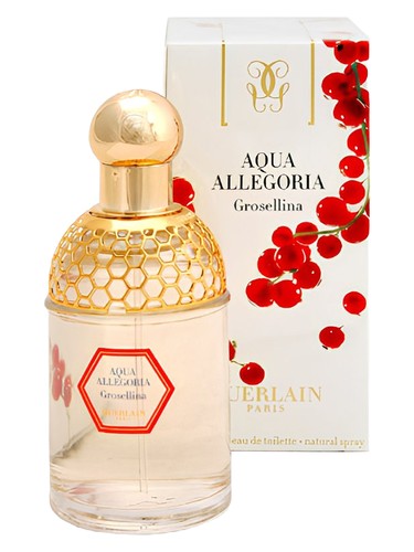 RBX 59 Perfume by Maison Anthony Marmin for Unisex UAE