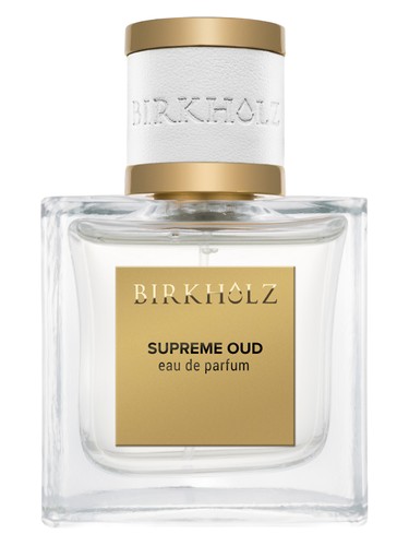 Berlin Lights Birkholz Perfume by Birkholz for Unisex UAE