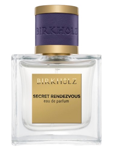 Berlin Lights Birkholz Perfume by Birkholz for Unisex UAE