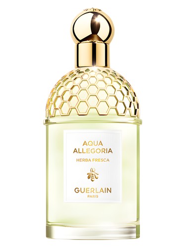 Acqua Di Parma Buongiorno Perfume by Acqua di Parma for unisex UAE