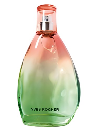 Yves Rocher Secret D’Essences Neroli Perfume by Yves Rocher for female UAE