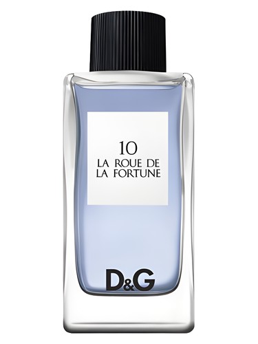 Q by Dolce & Gabbana Parfum Perfume by Dolce&Gabbana for Women UAE