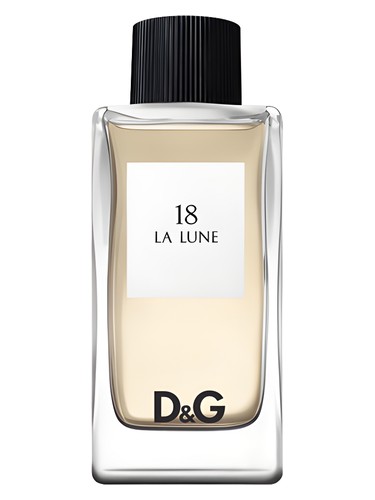 Q by Dolce & Gabbana Parfum Perfume by Dolce&Gabbana for Women UAE