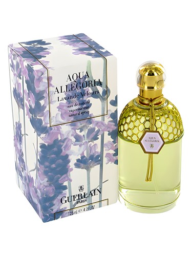 Rimbaud unisex Perfume by Celine for unisex UAE