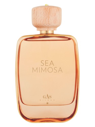 Summer 69 Perfume by Gas Bijoux for Unisex UAE