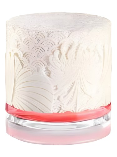 Ajmal Amaze Perfume by Ajmal for female UAE
