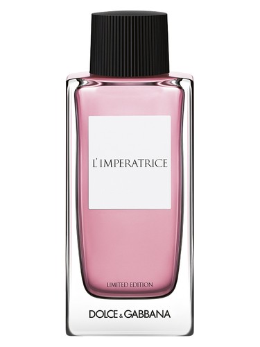 Q by Dolce & Gabbana Parfum Perfume by Dolce&Gabbana for Women UAE