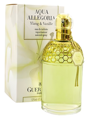 Summer Oud Perfume by Ahmed Al Maghribi for Unisex UAE