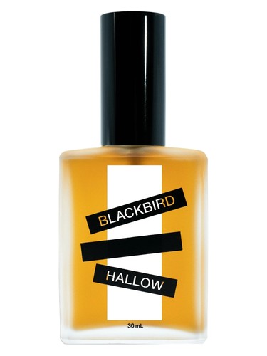 Triton Perfume by Blackbird for Unisex UAE
