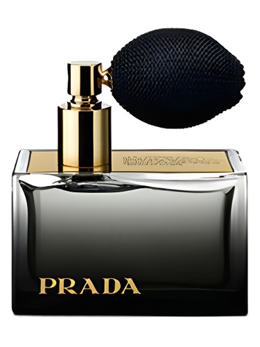 Michael Kors White Luminous Gold Perfume by Michael Kors for female UAE