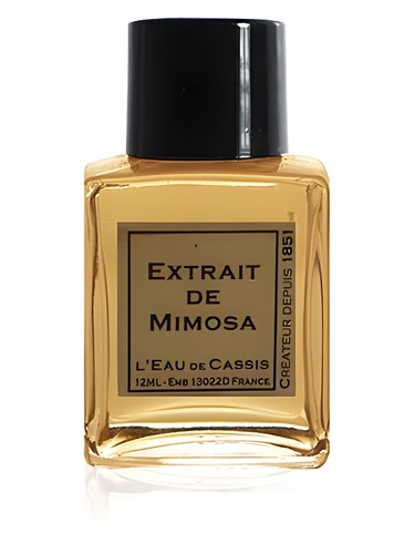 MMXIII - Perfume by L'Eau De Cassis for Unisex UAE