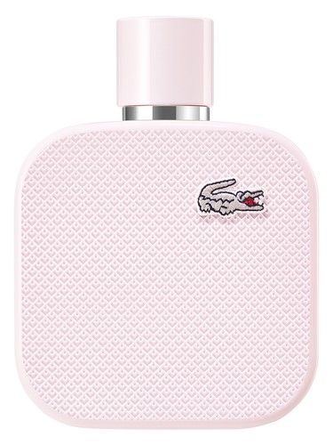Burberry Body Tender Perfume by Burberry for female UAE