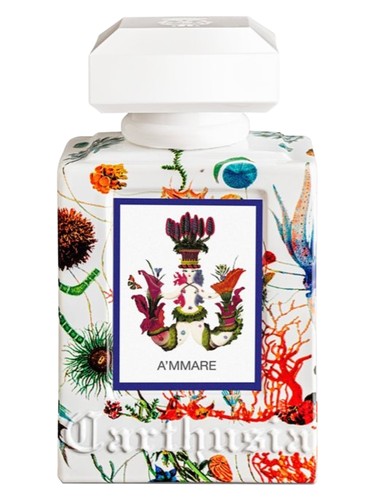 Carner Barcelona Costarela Perfume by Carner Barcelona for unisex UAE