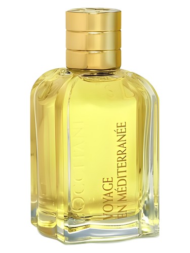 Prada Infusion De Mimosa Perfume by Prada for female UAE