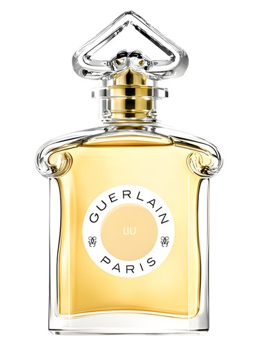 Chanel #5 Perfume by Chanel for female UAE