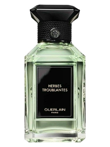 Xerjoff Nio Perfume by Xerjoff for male UAE