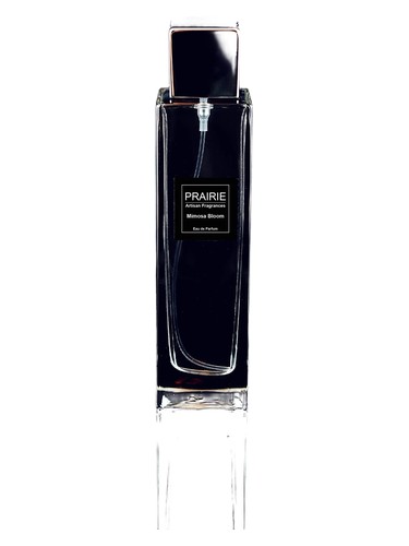 Mimosa Bloom Perfume