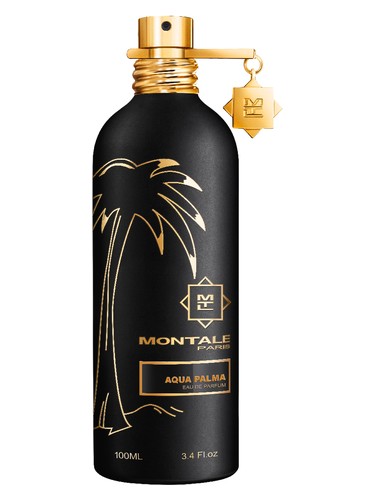 Red Vetiver Perfume by Montale for Men UAE