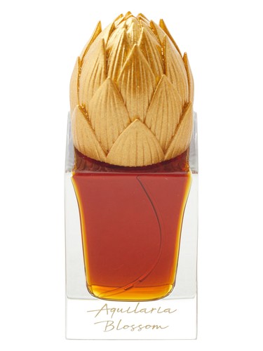 Santal Galore Areej Le Doré Areej Le Dore Perfume by Areej Le Dore for Unisex UAE