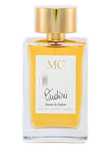 Oudini perfume