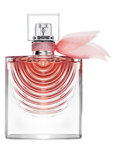 Lipstick On Maison Martin Margiela Perfume by Maison Martin Margiela for Women UAE