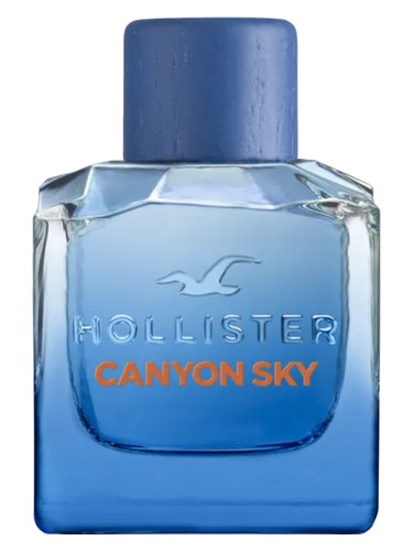 La Jolla Perfume by Hollister for Women UAE