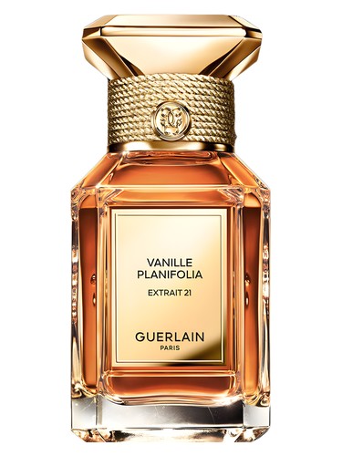 Vanille Planifolia Extrait 21 Perfume