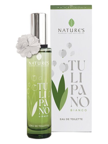 Tè Bianco Puro Perfume by Nature's for Unisex UAE