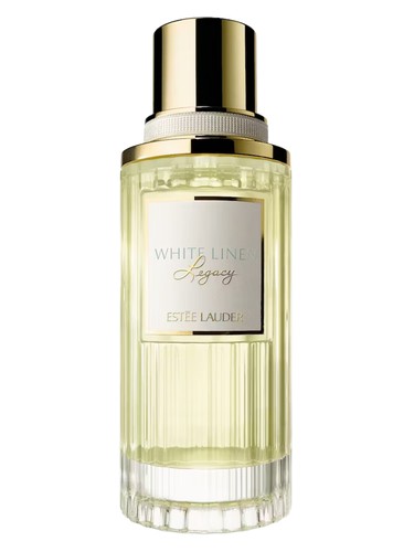 Amouage Dia 40 Perfume by Amouage for female UAE