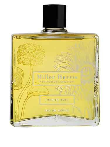 Meo Fusciuni Odor 93 Perfume by Meo Fusciuni for unisex UAE
