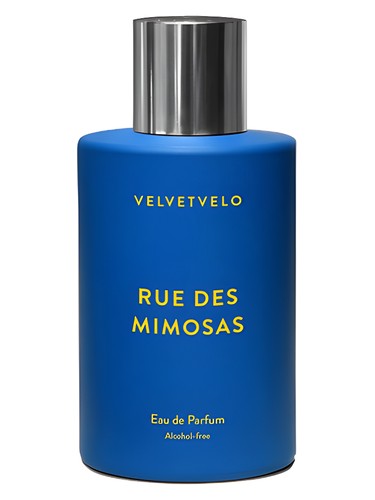 Archimede In Love Perfume by Velvetvelo for Unisex UAE
