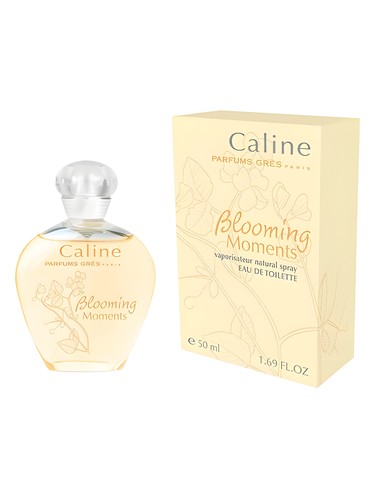 Pure Brilliance for women Perfume by Celine Dion for female UAE