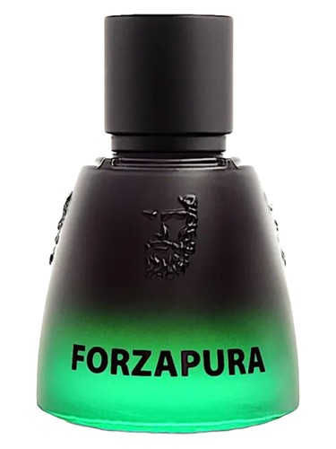 Bronzeo unisex Perfume by Agatho Parfum UAE